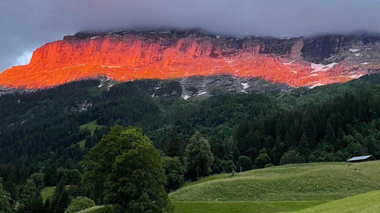 Ferienwohnung Im Gruenen Grindelwald Dış mekan fotoğraf