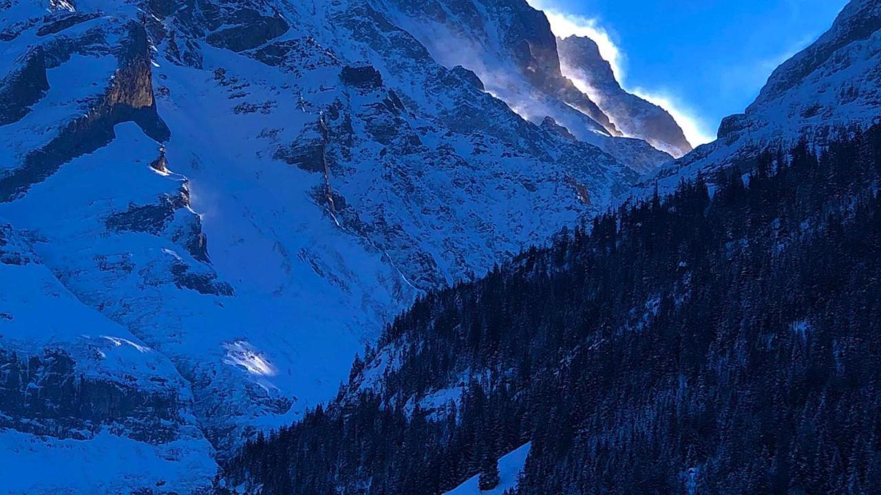 Ferienwohnung Im Gruenen Grindelwald Dış mekan fotoğraf