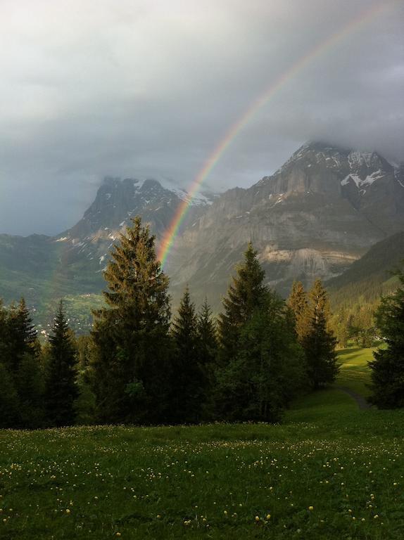 Ferienwohnung Im Gruenen Grindelwald Dış mekan fotoğraf