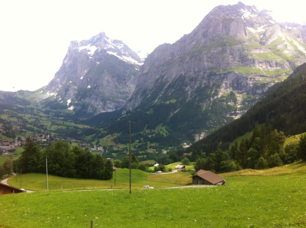 Ferienwohnung Im Gruenen Grindelwald Oda fotoğraf