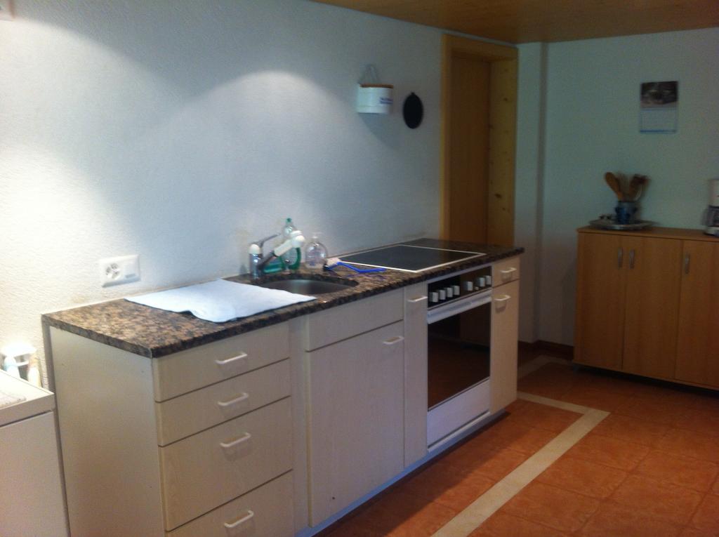 Ferienwohnung Im Gruenen Grindelwald Oda fotoğraf