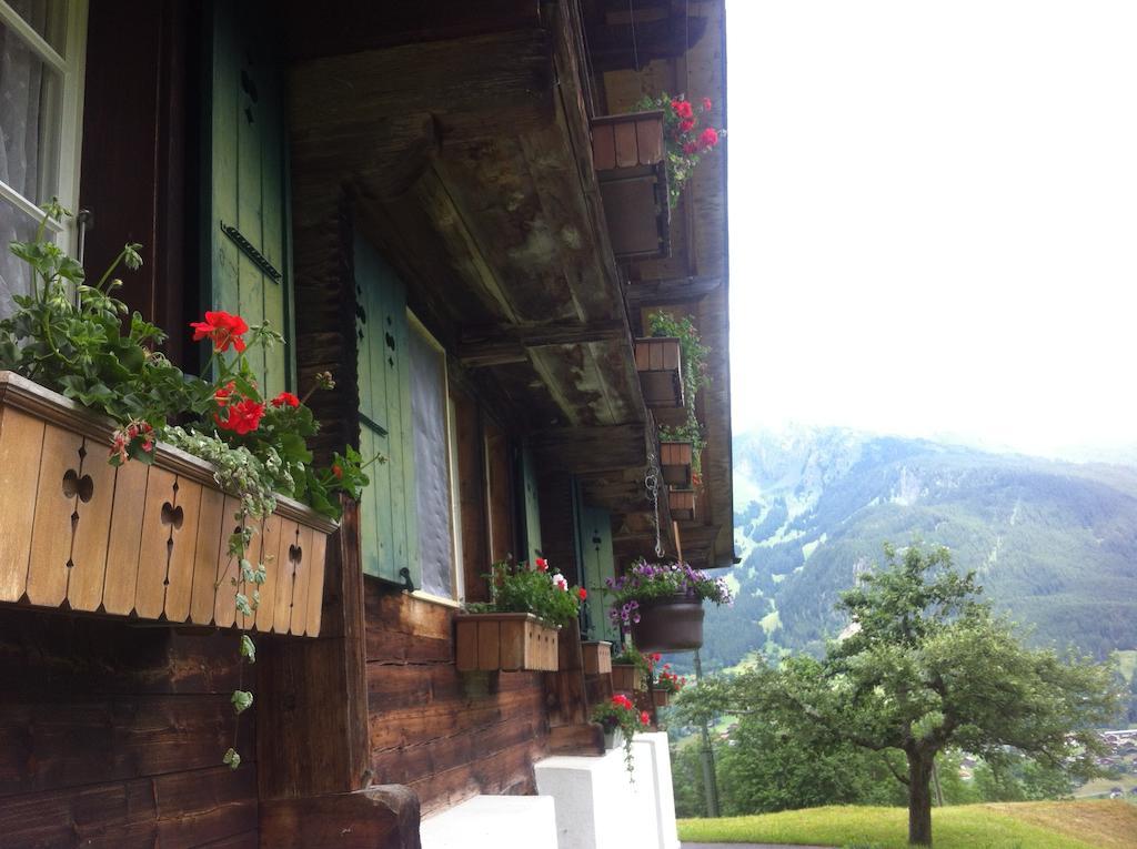 Ferienwohnung Im Gruenen Grindelwald Dış mekan fotoğraf