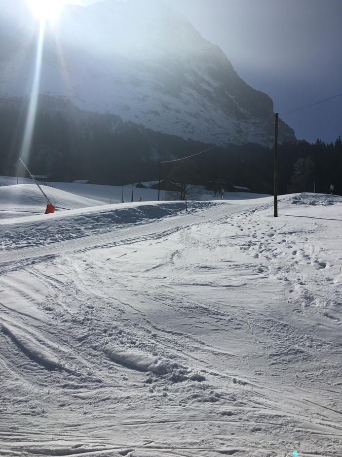 Ferienwohnung Im Gruenen Grindelwald Dış mekan fotoğraf