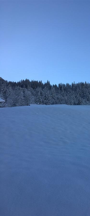 Ferienwohnung Im Gruenen Grindelwald Dış mekan fotoğraf