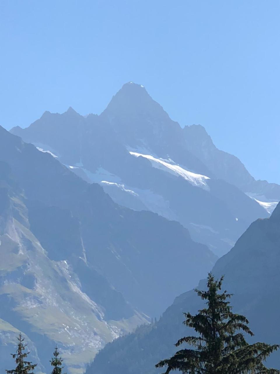 Ferienwohnung Im Gruenen Grindelwald Dış mekan fotoğraf