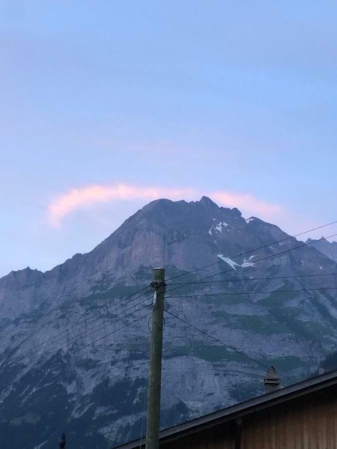 Ferienwohnung Im Gruenen Grindelwald Dış mekan fotoğraf