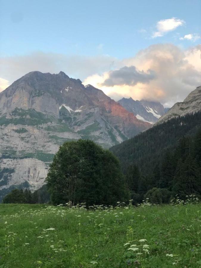 Ferienwohnung Im Gruenen Grindelwald Dış mekan fotoğraf